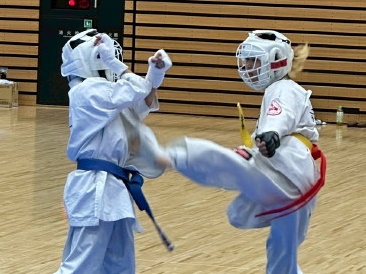 �A���o���ʐ^